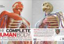 The Complete Human Body