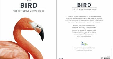 Bird: The Definitive Visual Guide