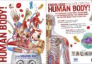 Knowledge Encyclopedia Human Body!