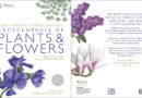 RHS Encyclopedia Of Plants and Flowers