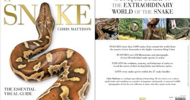 Snake: The Essential Visual Guide