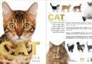The Cat Encyclopedia: The Definitive Visual Guide