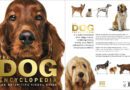 The Dog Encyclopedia