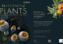 The Science of Plants: Inside their Secret World
